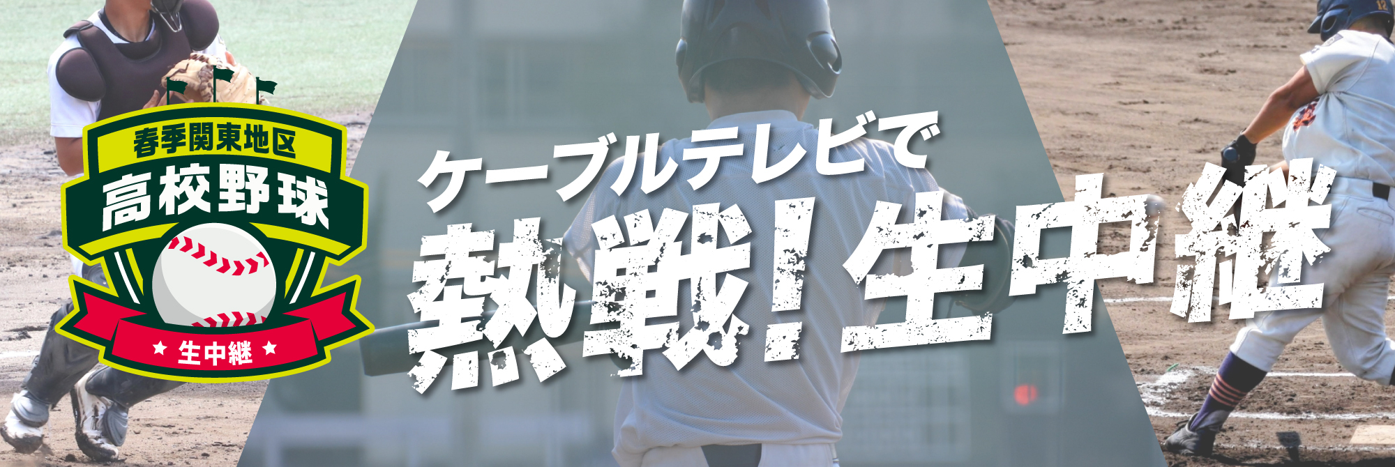 かながわ情熱プロジェクト　神奈川県高等学校野球春季大会